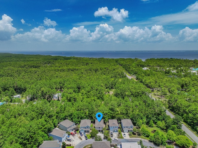60 Mosaic Oaks Cir, Santa Rosa Beach, FL 32459 - photo 4