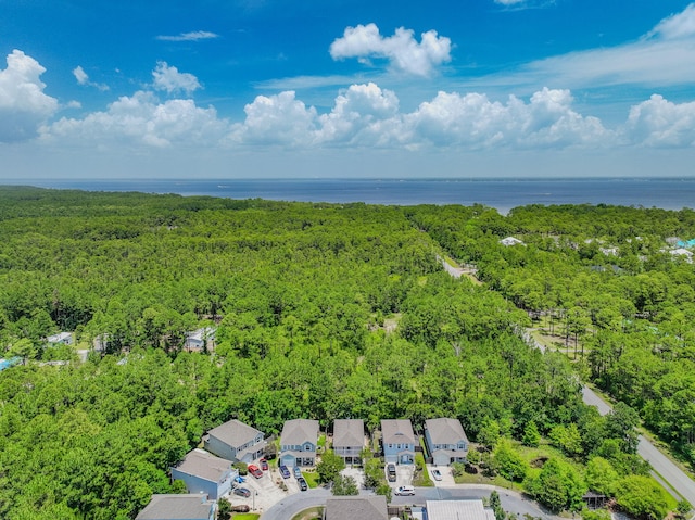 60 Mosaic Oaks Cir, Santa Rosa Beach, FL 32459 - photo 46