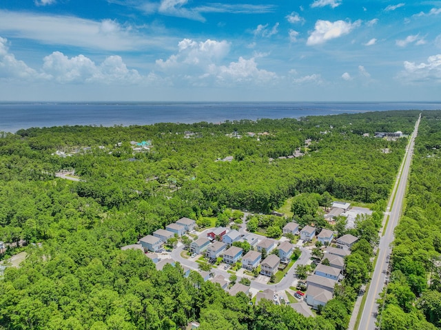 60 Mosaic Oaks Cir, Santa Rosa Beach, FL 32459 - photo 50