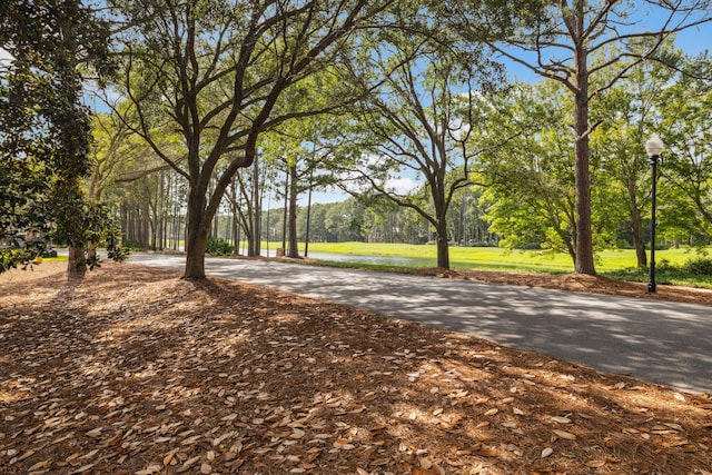 3296 Burnt Pine Ln, Miramar Beach, FL 32550