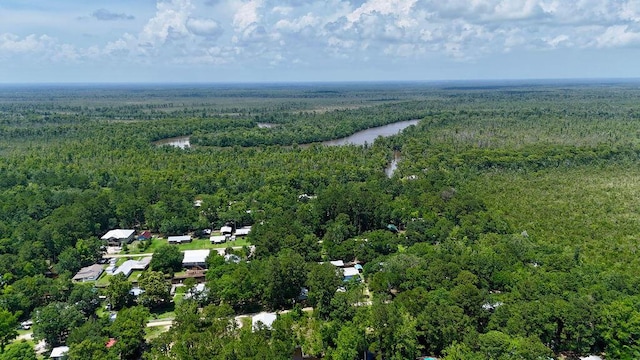 85 Our St, Vernon, FL 32462 - photo 35