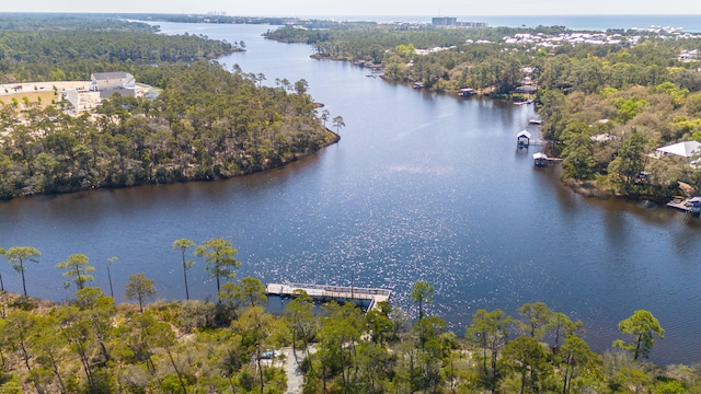 339 Pathways Dr, Inlet Beach, FL 32461 - drone / aerial view of a large body of water and a forest
