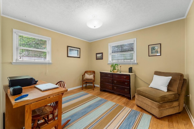619 Pitts Bayshore Dr, Freeport, FL 32439 - home office featuring light wood finished floors, plenty of natural light, ornamental molding, and a textured ceiling