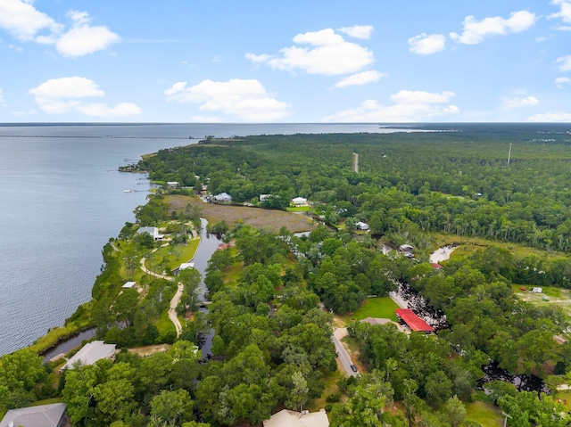 619 Pitts Bayshore Dr, Freeport, FL 32439 - drone / aerial view of a large body of water and a heavily wooded area