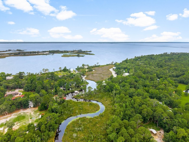 619 Pitts Bayshore Dr, Freeport, FL 32439 - drone / aerial view of a large body of water