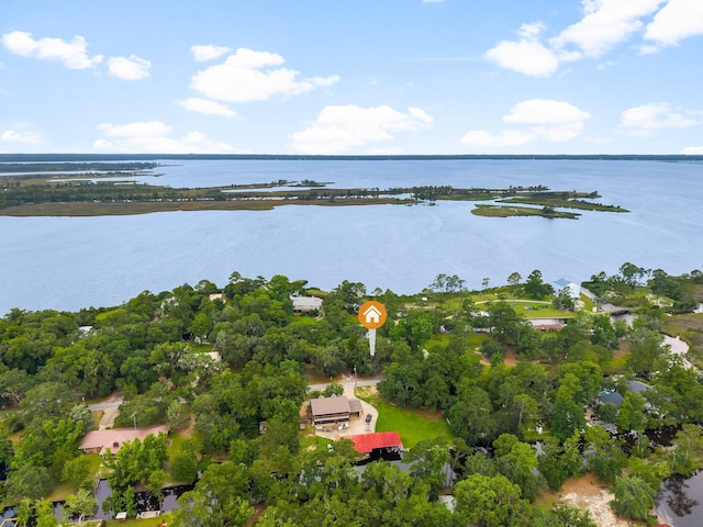 619 Pitts Bayshore Dr, Freeport, FL 32439 - aerial view of a large body of water