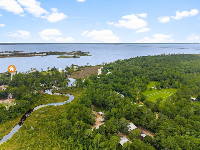 619 Pitts Bayshore Dr, Freeport, FL 32439 - aerial view of property and surrounding area with a nearby body of water and a heavily wooded area