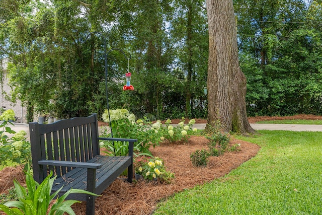 17 Poquito Rd, Shalimar, FL 32579 - view of grassy yard