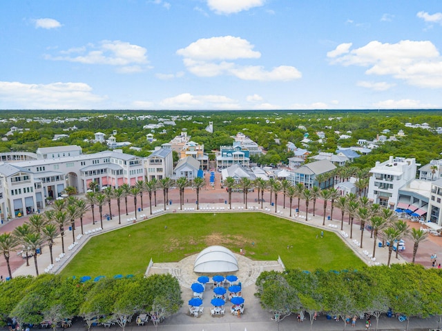 81 Canal St, Santa Rosa Beach, FL 32459 - bird's eye view