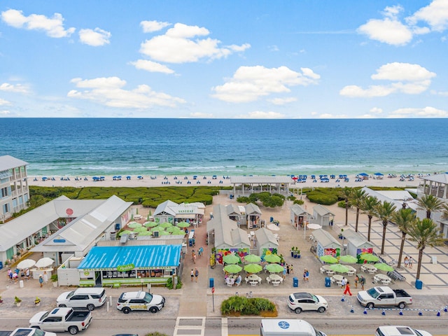 81 Canal St, Santa Rosa Beach, FL 32459 - bird's eye view of unending shoreline