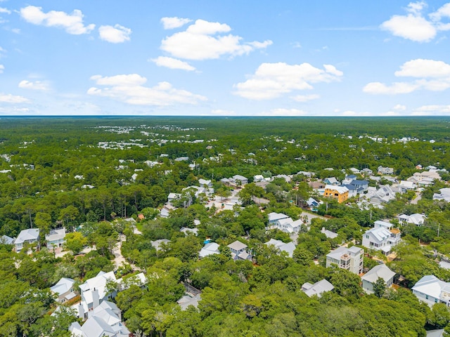 81 Canal St, Santa Rosa Beach, FL 32459 - aerial perspective of suburban area featuring a forest