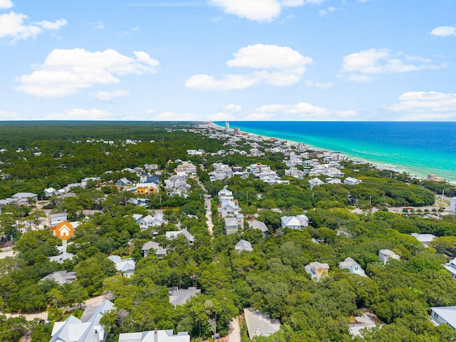 81 Canal St, Santa Rosa Beach, FL 32459 - drone / aerial view of a large body of water