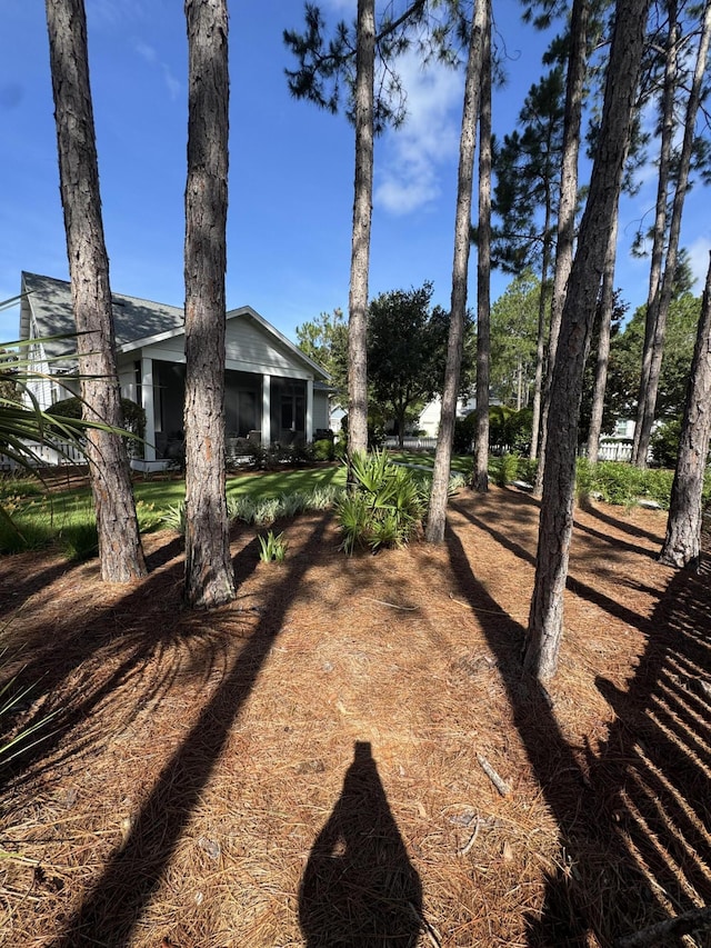 360 Jack Knife Dr, Inlet Beach, FL 32461 - view of yard