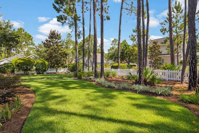 360 Jack Knife Dr, Inlet Beach, FL 32461 - view of yard