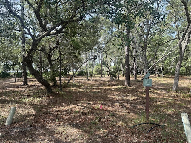 1401 Turtleback Trl, Panama City Beach, FL 32413 - photo 7
