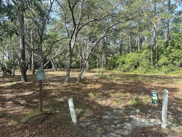 1401 Turtleback Trl, Panama City Beach, FL 32413 - photo 12