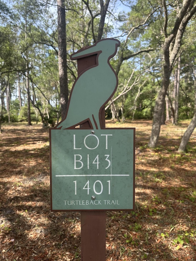 1401 Turtleback Trl, Panama City Beach, FL 32413 - photo 15