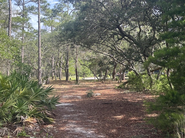 1401 Turtleback Trl, Panama City Beach, FL 32413 - photo 18
