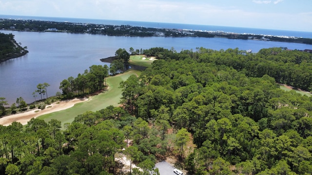 1401 Turtleback Trl, Panama City Beach, FL 32413 - photo 8