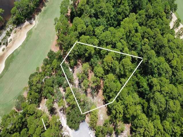 1401 Turtleback Trl, Panama City Beach, FL 32413 - photo 3
