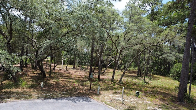 1401 Turtleback Trl, Panama City Beach, FL 32413 - photo 14
