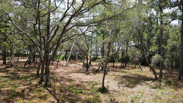 1401 Turtleback Trl, Panama City Beach, FL 32413 - photo 11