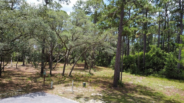 1401 Turtleback Trl, Panama City Beach, FL 32413 - photo 13