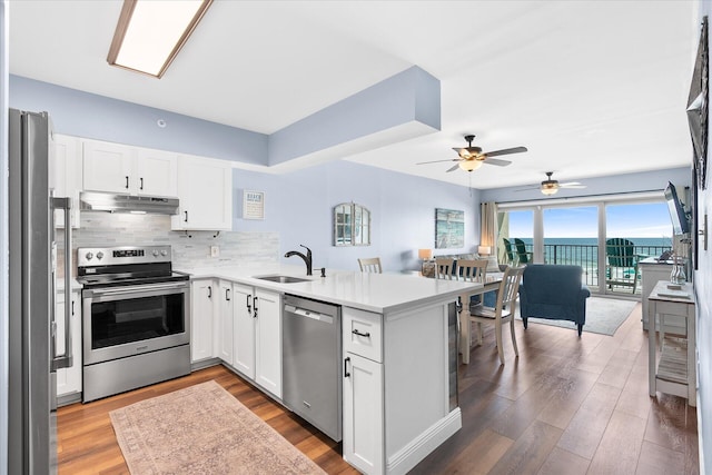 780 Sundial Ct Unit 2001, Fort Walton Beach, FL 32548 - kitchen with stainless steel appliances, under cabinet range hood, a peninsula, ceiling fan, and wood finished floors