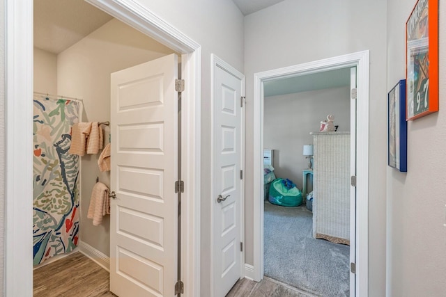 364 Lightning Bug Ln, Freeport, FL 32439 - hallway featuring wood finished floors