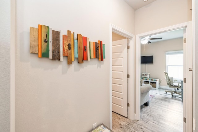 364 Lightning Bug Ln, Freeport, FL 32439 - hall with wood finished floors and baseboards