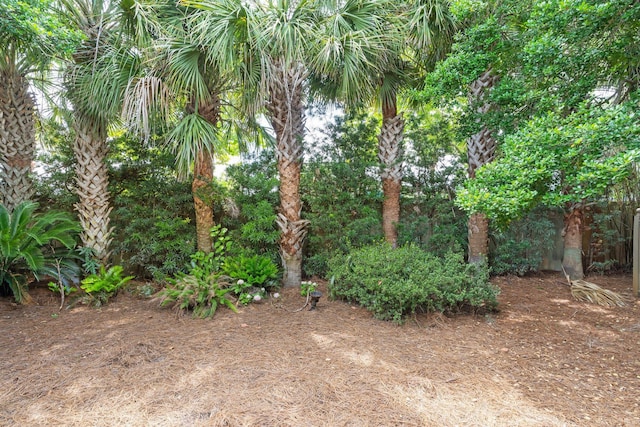 176 Rue Martine, Miramar Beach, FL 32550 - view of yard