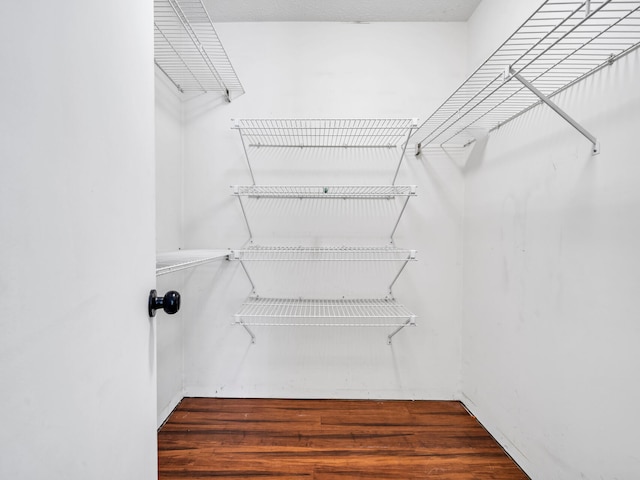 2016 E Three Putt Ln, Panama City, FL 32404 - walk in closet with wood finished floors