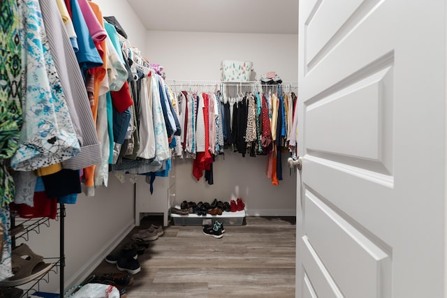 919 Sandbar Loop, Crestview, FL 32539 - walk in closet with wood finished floors