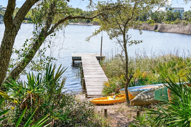 70 N Camp Creek Rd Unit 3, Inlet Beach, FL 32461 - dock featuring a water view