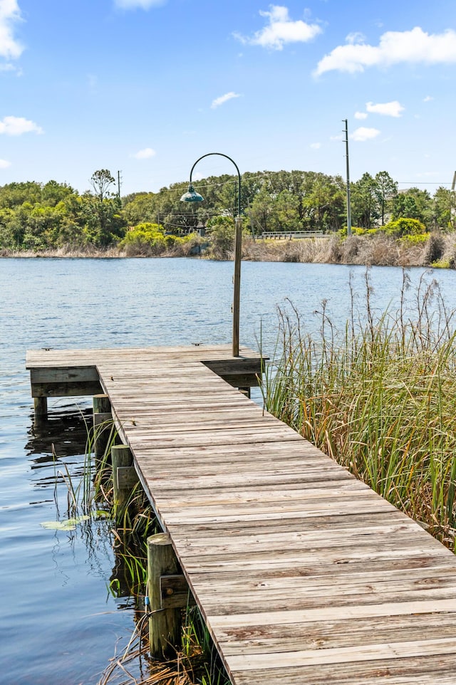 70 N Camp Creek Rd Unit 3, Inlet Beach, FL 32461 - dock area with a water view