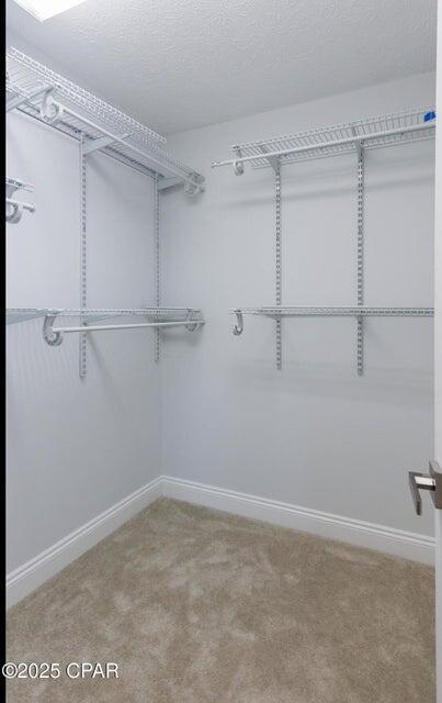 7202 Ranier St, Panama City, FL 32404 - spacious closet with carpet