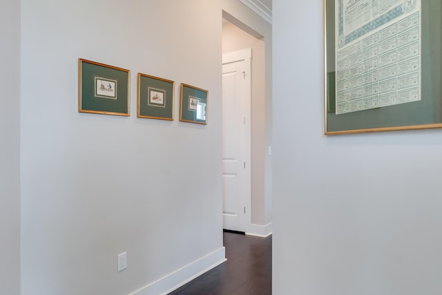 118 Ravine Rd, Inlet Beach, FL 32461 - photo 5