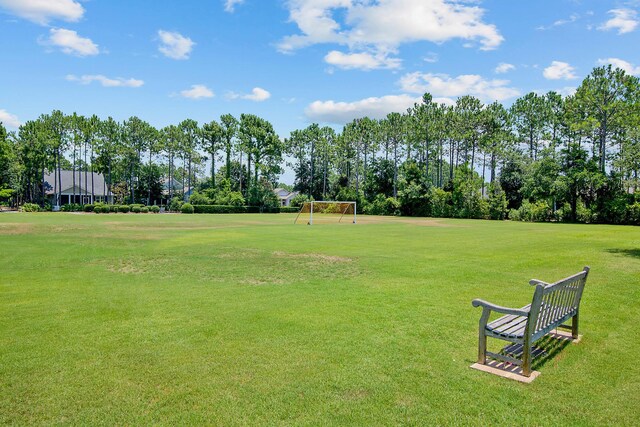 118 Ravine Rd, Inlet Beach, FL 32461 - photo 54
