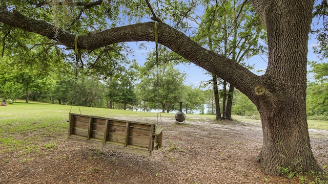 4936 Grassy Pond Rd, Chipley, FL 32428 - view of property's community featuring a yard