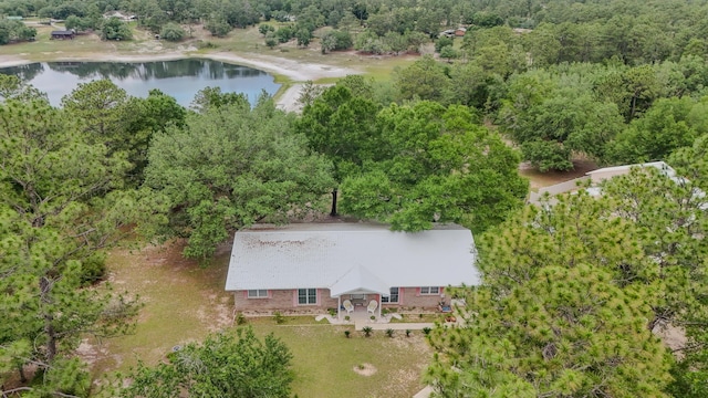 4936 Grassy Pond Rd, Chipley, FL 32428 - view of subject property featuring a nearby body of water and a forest