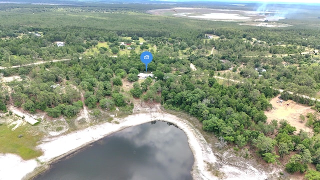 4936 Grassy Pond Rd, Chipley, FL 32428 - bird's eye view of a heavily wooded area