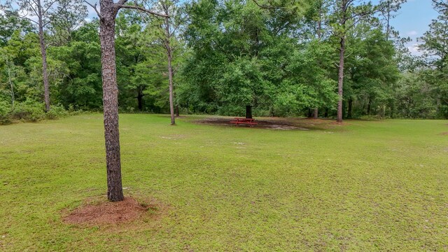 4936 Grassy Pond Rd, Chipley, FL 32428 - view of grassy yard