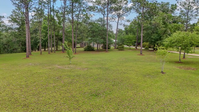 4936 Grassy Pond Rd, Chipley, FL 32428 - view of grassy yard