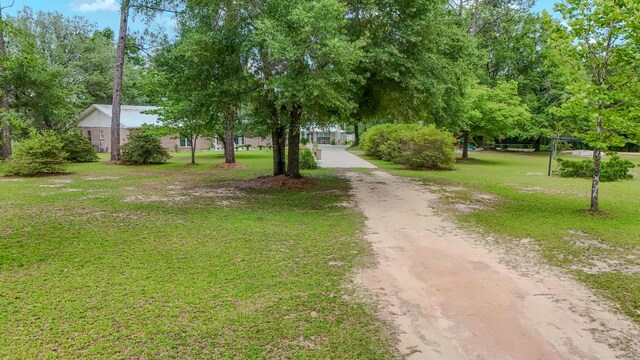 4936 Grassy Pond Rd, Chipley, FL 32428 - view of community featuring dirt driveway and a yard