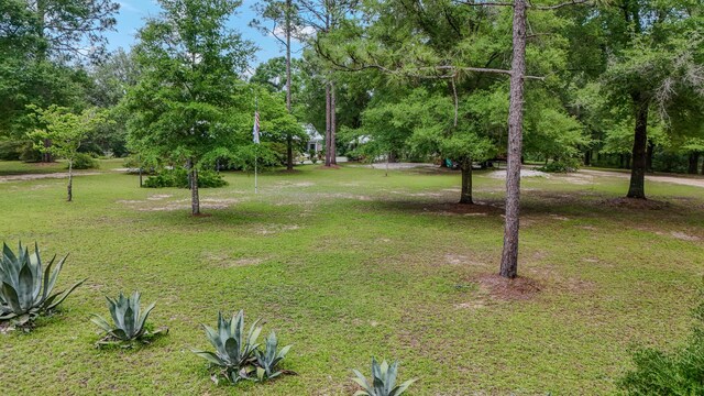 4936 Grassy Pond Rd, Chipley, FL 32428 - view of green lawn with view of wooded area