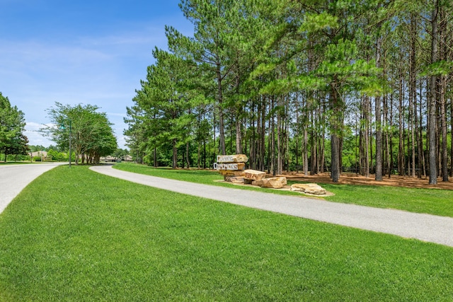 124 Apollo Ave, Freeport, FL 32439 - view of home's community featuring a yard