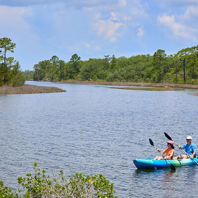 8668 Shell Sink Dr, Panama City Beach, FL 32413 - water view featuring a forest