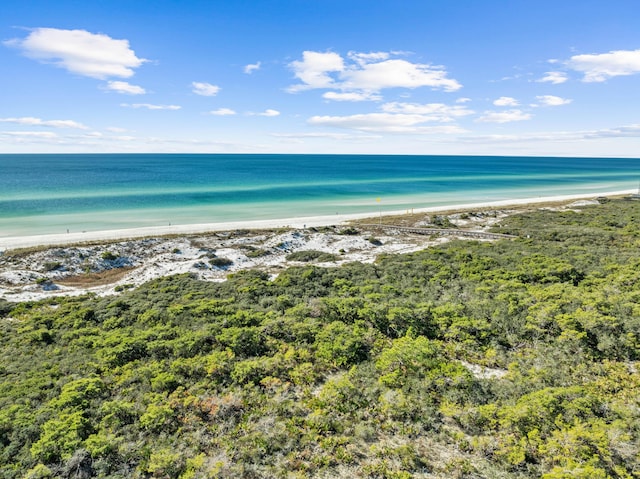 244 W Park Place Ave, Inlet Beach, FL 32461 - photo 40