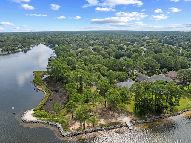213 Olde Post Rd, Niceville, FL 32578 - photo 62