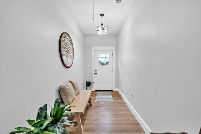 52 Lazy Bone St, Vernon, FL 32462 - entrance foyer featuring light wood-style floors and baseboards